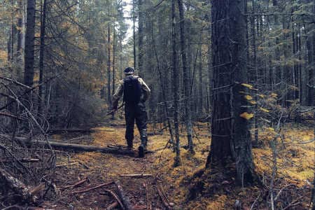 Купить диплом Егеря, лесника в Невинномысске