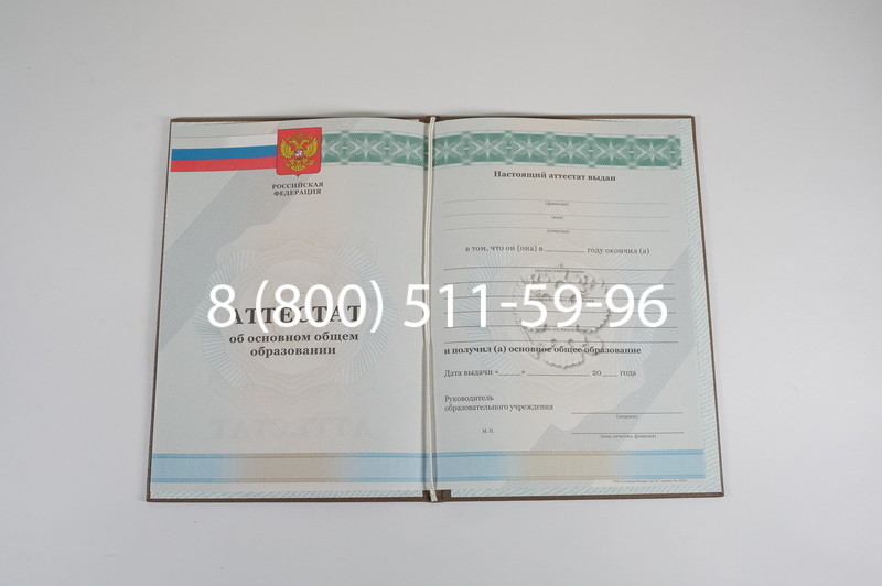 Аттестат за 9 класс 2011-2013 годов в Невинномысске Аттестат за 9 класс 2011-2013 годов в Невинномысске