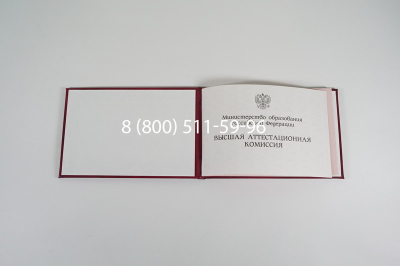 Диплом доктора наук 1995-2006 года в Невинномысске Диплом доктора наук 1995-2006 года в Невинномысске