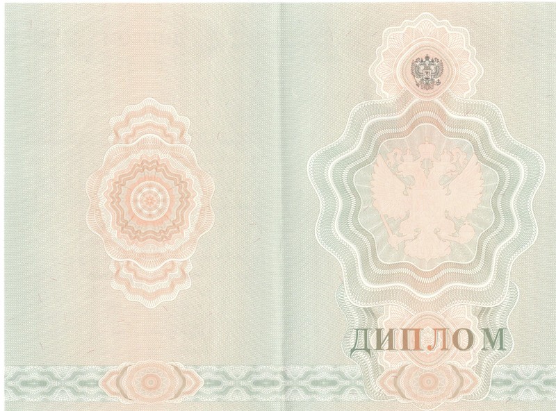 Купить Диплом о начальном образовании 2007-2009 годов в Невинномысске Купить Диплом о начальном образовании 2007-2009 годов в Невинномысске