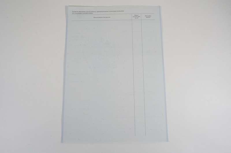 Диплом о начальном образовании 2007-2009 годов в Невинномысске Диплом о начальном образовании 2007-2009 годов в Невинномысске