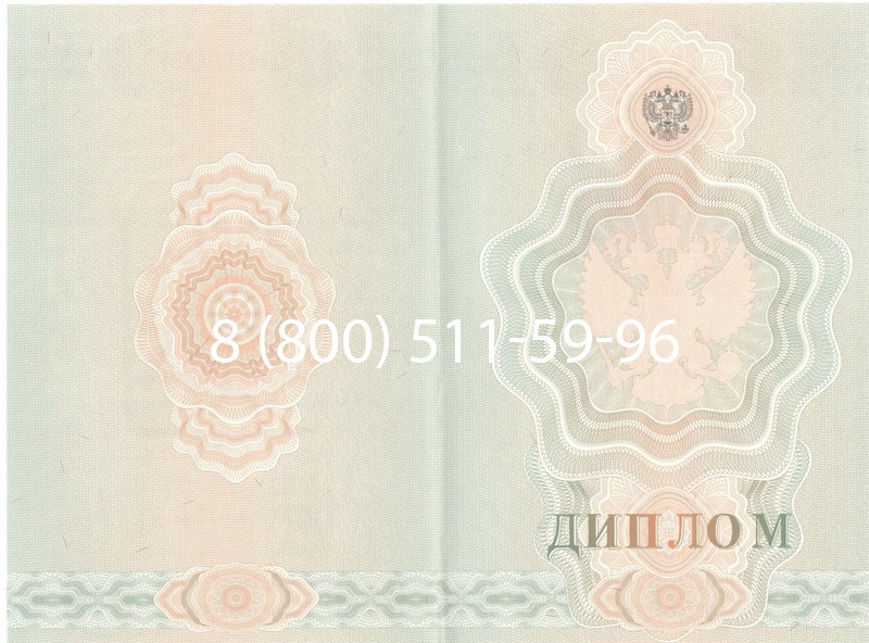 Купить Диплом училища 2007-2009 годов в Невинномысске Купить Диплом училища 2007-2009 годов в Невинномысске